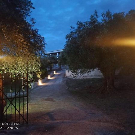 Helios & Elia Family Apartment เลียปาเดส ภายนอก รูปภาพ